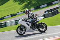 brands-hatch-photographs;brands-no-limits-trackday;cadwell-trackday-photographs;enduro-digital-images;event-digital-images;eventdigitalimages;no-limits-trackdays;peter-wileman-photography;racing-digital-images;trackday-digital-images;trackday-photos